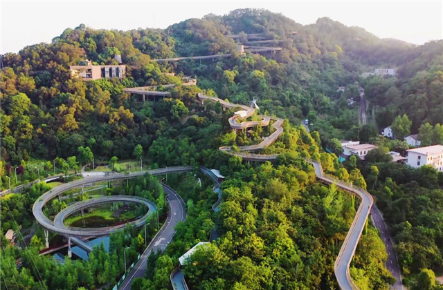 彩虹多多集团荣获两项国家级协会工程建设科学技术奖！